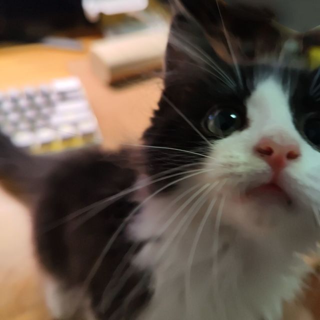 玩家头像