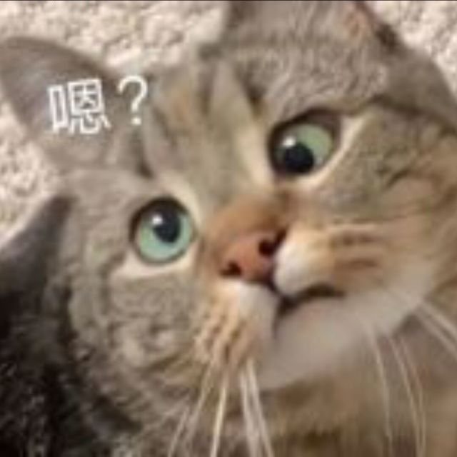 玩家头像